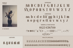 Noirvelle - Modern Serif Typeface Product Image 4