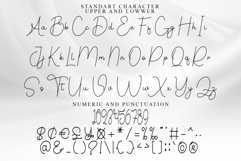 Alphabet Product Image 5