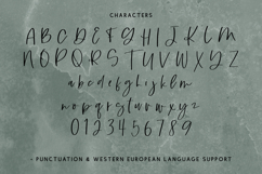 Alpines Script Product Image 10