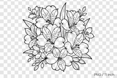 Black ink line art Alstroemeria coloring page PNG Flower Product Image 1