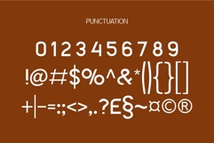 ALLTECO Modern Retro Display Fonts Product Image 11