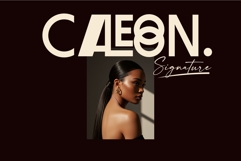 ALLTECO Modern Retro Display Fonts Product Image 9