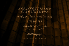 Alterday Product Image 6