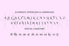Hookana Product Image 8