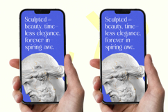 Alugfte - New Modern Display Serif Font Product Image 2