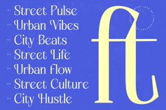 Alugfte - New Modern Display Serif Font Product Image 8