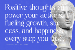 Alugfte - New Modern Display Serif Font Product Image 12