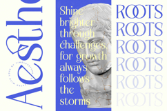 Alugfte - New Modern Display Serif Font Product Image 13