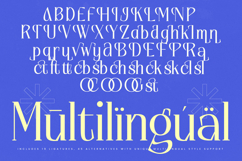 Alugfte - New Modern Display Serif Font Product Image 18