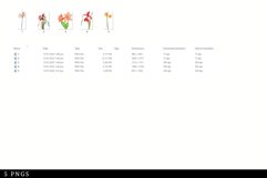 Amaryllis Vintage Floral Botanical Clip Art Product Image 3