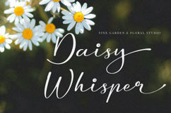 Amaterla Farmosa | Casual Handwritten Chic Product Image 2