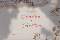 Amaterla Farmosa | Casual Handwritten Chic Product Image 3