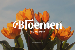 Amberglen - Modern Serif Font Product Image 2