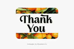 Amberglen - Modern Serif Font Product Image 10