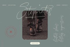 Ambigail Jonathan - Stylish Signature Font Product Image 6