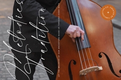 Ambition Master - Stylish Signature Font Product Image 14