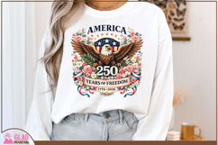 America 250 year anniversary celebration design, America png Product Image 3