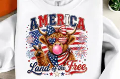 America Land Of The Free PNG Product Image 1