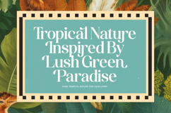 America Nights - Modern Serif Font Product Image 18