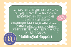 America Nights - Modern Serif Font Product Image 19