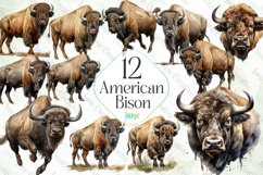 American Bison Sublimation Clipart Product Image 1