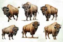 American Bison Sublimation Clipart Product Image 2