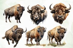 American Bison Sublimation Clipart Product Image 3
