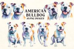 American Bulldog PNG Bundle | Watercolor Dog Clipart Product Image 1