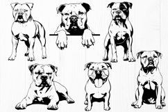 American Bulldog SVG Bundle 17 Dog Cut Files | Bulldog DXF Product Image 3