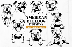American Bulldog SVG Bundle 17 Dog Cut Files | Bulldog DXF Product Image 1