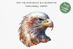 American Eagle Birds Clipart Savanna PNG Forest Animals Art Scrapbooking Image Watercolor Transparent Print invitation t-shirt designs sublimation printable  watercolor cute American Eagle, Safari birds bird clipart, sublimation nursery drawing Savanna