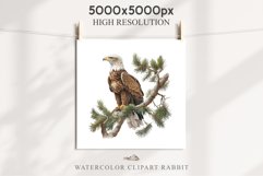 American Eagle Birds Clipart Savanna PNG Forest Animals Art Scrapbooking Image Watercolor Transparent Print invitation t-shirt designs sublimation printable  watercolor cute American Eagle, Safari birds bird clipart, sublimation nursery drawing Savanna