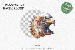 American Eagle Birds Clipart Savanna PNG Forest Animals Art Scrapbooking Image Watercolor Transparent Print invitation t-shirt designs sublimation printable  watercolor cute American Eagle, Safari birds bird clipart, sublimation nursery drawing Savanna