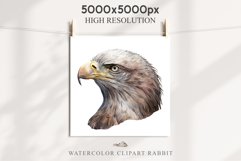 American Eagle Birds Clipart Savanna PNG Forest Animals Art Scrapbooking Image Watercolor Transparent Print invitation t-shirt designs sublimation printable  watercolor cute American Eagle, Safari birds bird clipart, sublimation nursery drawing Savanna