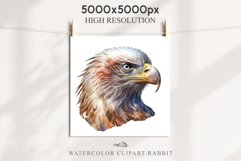 American Eagle Birds Clipart Savanna PNG Forest Animals Art Scrapbooking Image Watercolor Transparent Print invitation t-shirt designs sublimation printable  watercolor cute American Eagle, Safari birds bird clipart, sublimation nursery drawing Savanna