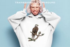 watercolor cute American Eagle, Safari birds bird clipart, sublimation nursery drawing Savanna American Eagle Birds Clipart Savanna PNG Nursery Art Scrapbooking Image Watercolor Transparent Print invitation t-shirt designs sublimation printable digital