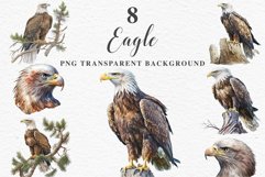 watercolor cute American Eagle, Safari birds bird clipart, sublimation nursery drawing Savanna American Eagle Birds Clipart Savanna PNG Nursery Art Scrapbooking Image Watercolor Transparent Print invitation t-shirt designs sublimation printable digital