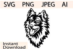 Pomeranian spitz/Dog Svg/Png/Jpg/Ai/Vector purebred breed Product Image 1
