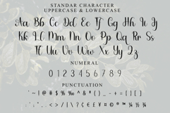 American Signature Product Image 7