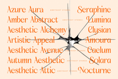 Amethast Stones - Modern Alternate Serif Font Product Image 5