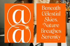 Amethast Stones - Modern Alternate Serif Font Product Image 14