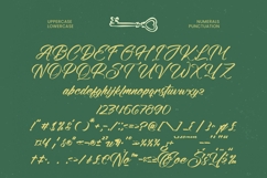 Amigdal - Bold Calligraphy Font Product Image 18