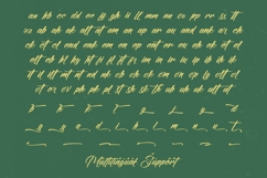 Amigdal - Bold Calligraphy Font Product Image 19