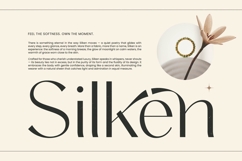 Amira Monte - Elegant Thin Sans Serif Font Product Image 3
