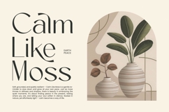 Amira Monte - Elegant Thin Sans Serif Font Product Image 5