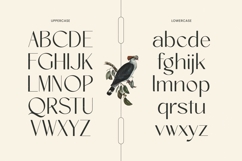 Amira Monte - Elegant Thin Sans Serif Font Product Image 9