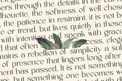 Amira Monte - Elegant Thin Sans Serif Font Product Image 12