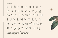 Amira Monte - Elegant Thin Sans Serif Font Product Image 19