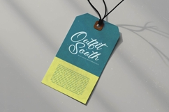 Amlerish Stagnate - Bold Handwritten Font Product Image 15