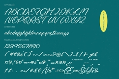 Amlerish Stagnate - Bold Handwritten Font Product Image 18